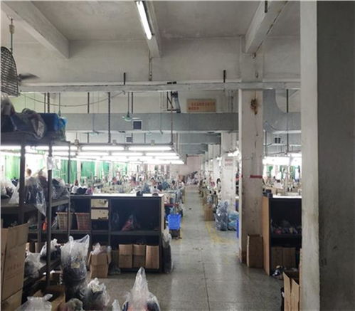 福州市廠房承重檢測鑒定單位 —— 專業技術服務保障工業安全，新聞聯播關注質量監管